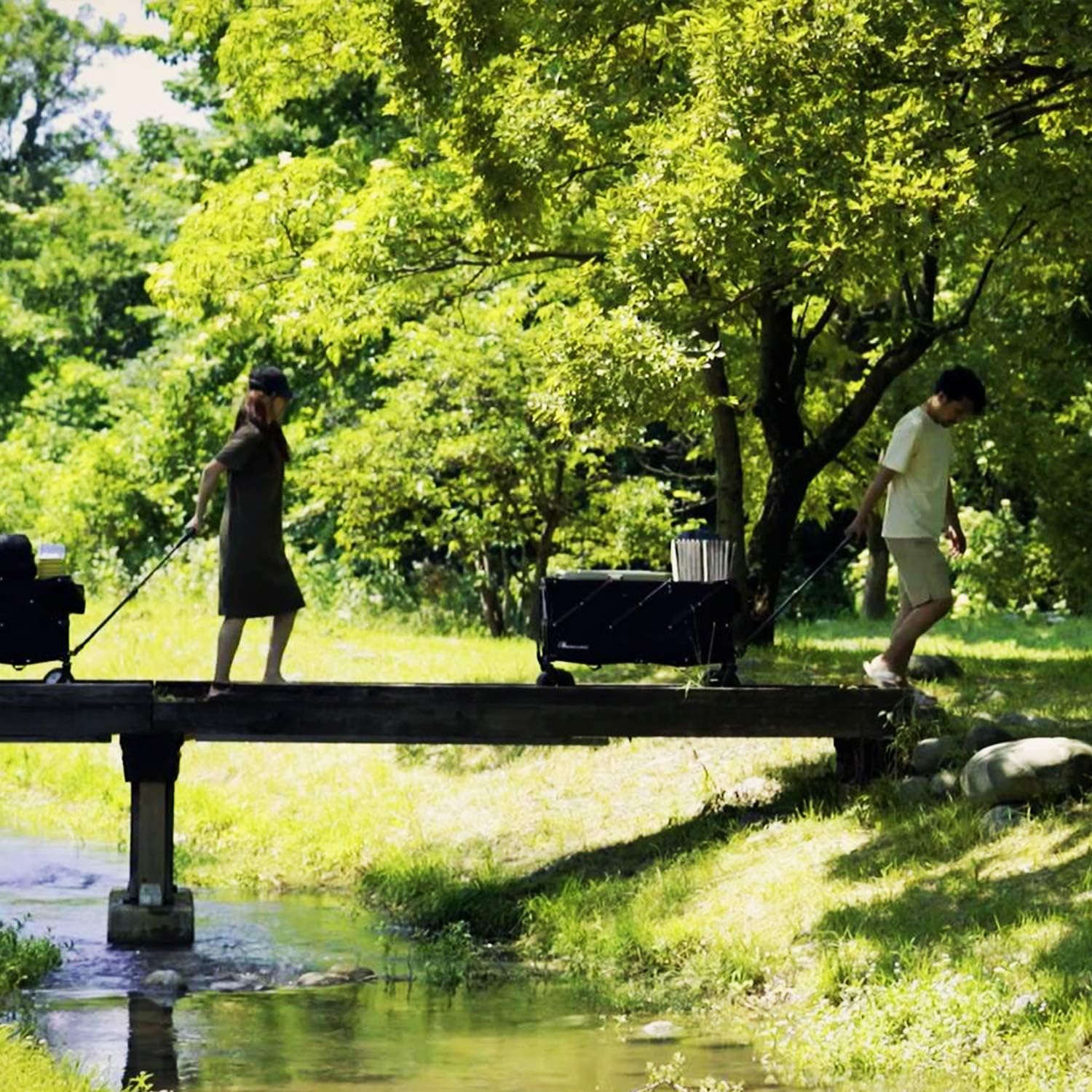 キャリーワゴン